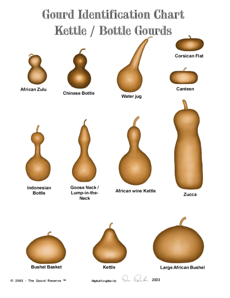 bottle gourd identification