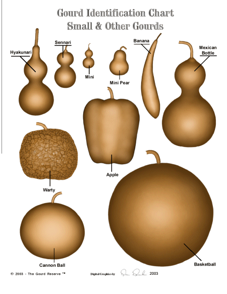 Gourd Identification Chart 1