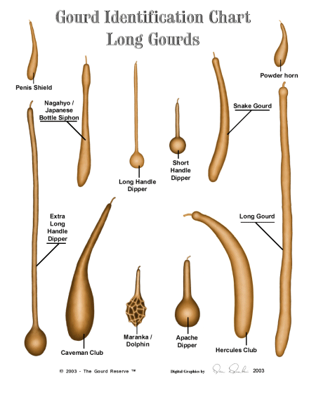 Types Of Gourds Chart