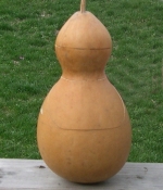 new gourd