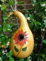 bird house gourd