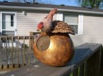 Gourd Birdfeeder with bird perched on roof