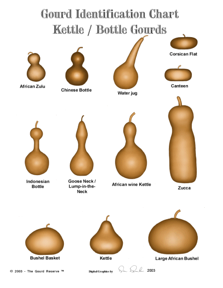 Gourd Identification Chart